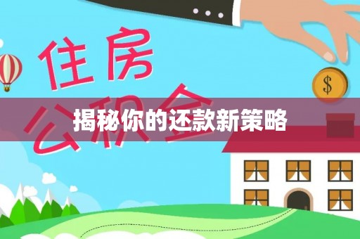 西畴揭秘你的还款新策略