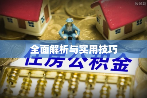 西畴全面解析与实用技巧