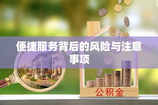 西畴便捷服务背后的风险与注意事项