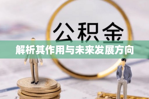 西畴解析其作用与未来发展方向