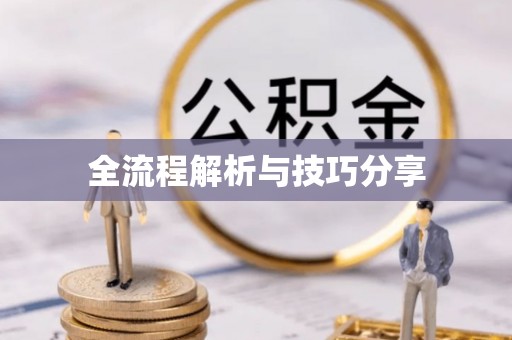 西畴全流程解析与技巧分享